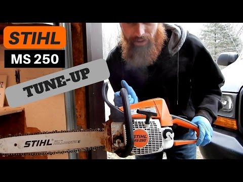 STIHL MS250 TUNE UP!