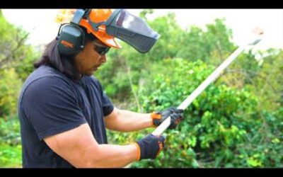 STIHL HTA 85 Cordless Pole Saw Pruner Review