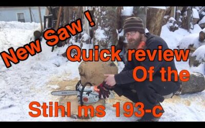 Stihl MS 193 C Review