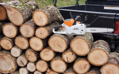 #252 The REAL DEAL Stihl MSA 200 C Battery Power Chainsaw