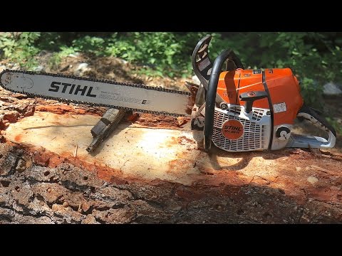 Tree cutting with a STIHL MS 661 C chainsaw