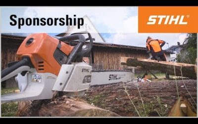Carving with the chainsaw: sculptures by STIHL