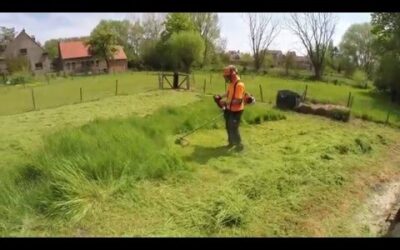 Stihl FS 490 C-EM L / Autocut 40-2 in action!