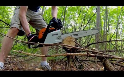 Stihl MS 171 Review