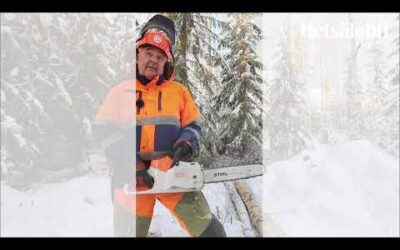 Testissä akkumoottorisaha Stihl msa220 c | Metsälehti