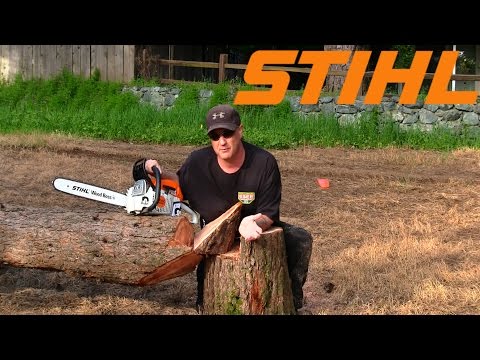 STIHL MS 251 WOOD BOSS Chainsaw First Cut & Side Job