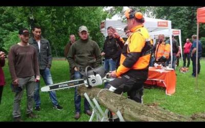 Stihl Carbonfiber Chainsaw
