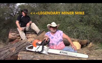 Stihl chainsaw review MS661c