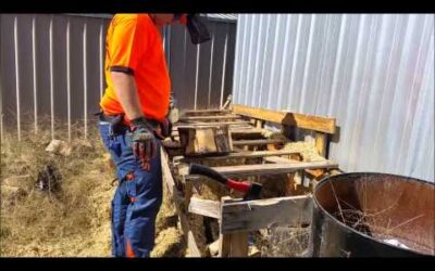 Cutting Firewood w/ STIHL MS 210 C