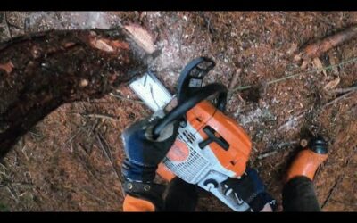 Testar min nya Stihl MS 261 C i gallringen!