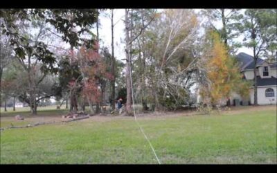 Stihl MS 250 C-BE Chainsaw Test Cut