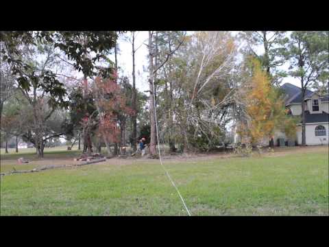 Stihl MS 250 C-BE Chainsaw Test Cut