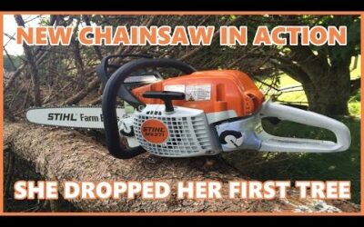 NEW CHAINSAW IN ACTION | STIHL MS271 FARM BOSS
