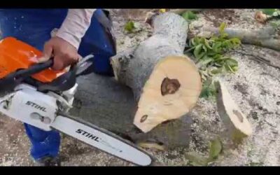 STIHL MS 311 chainsaw