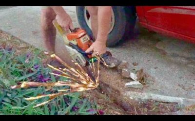 What Not To Do With A Chainsaw Stihl 026