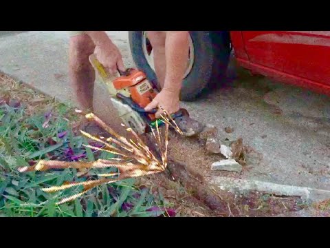 What Not To Do With A Chainsaw Stihl 026