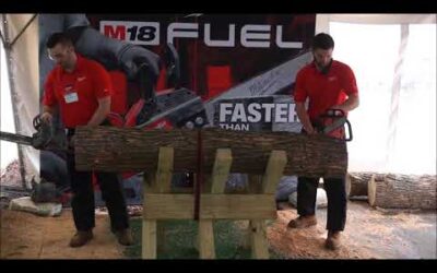 Milwaukee M18 Fuel Chainsaw vs Stihl Gas Chainsaw NPS18 Demo