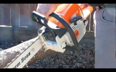 Stihl ms290 Farm Boss Stihl Chainsaw review and test cut