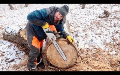 Stihl ms 271 FARM BOSS In ACTION
