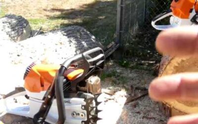 Zipped Stihl 462 vs Bone Stock 461