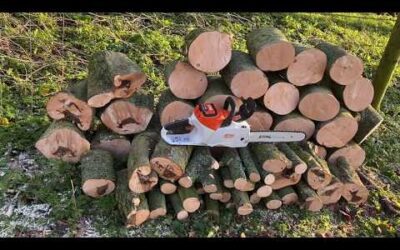 STIHL MSA 220 Battery Powered Chainsaw