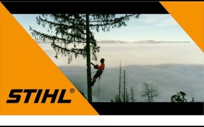 STIHL – LES TECHNIQUES D’ABATTAGE – TEASER