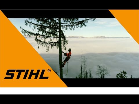 STIHL – LES TECHNIQUES D’ABATTAGE – TEASER