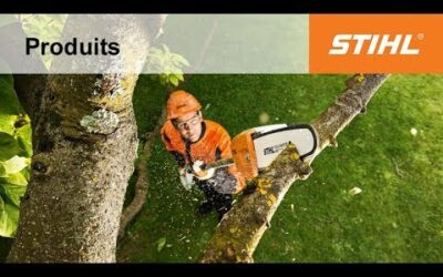 Perches d’élagage à batterie HTA 65 et HTA 85 STIHL