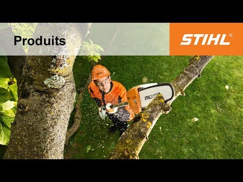 Perches d’élagage à batterie HTA 65 et HTA 85 STIHL