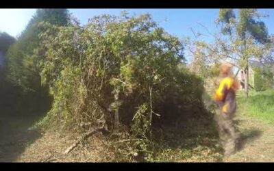 Timelapse STIHL FS 410C vs gros roncier [GoPro]