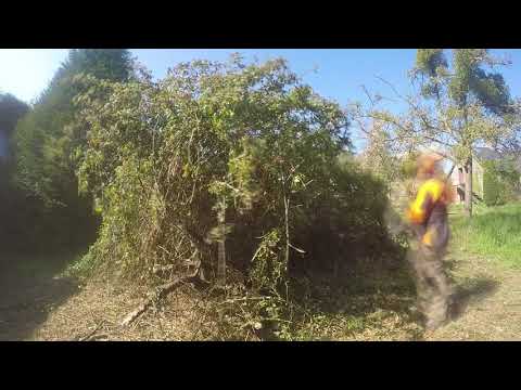 Timelapse STIHL FS 410C vs gros roncier [GoPro]
