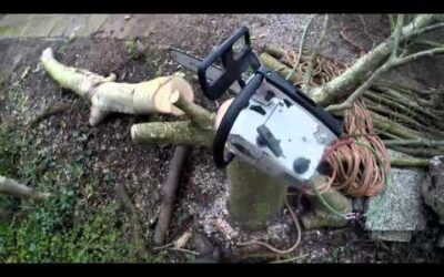 Kappen van 4 bomen met de Stihl 020AV.
