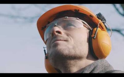 Perche d’élagage STIHL HT 133