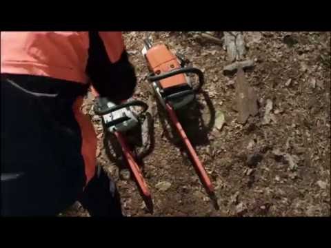 Bienvenue sur la chaîne Youtube de STIHL France