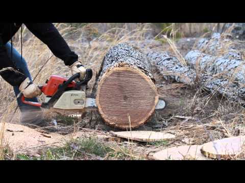 Stihl 039 MM’d in Red Oak LPX