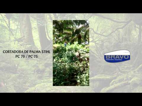 stihl, cortadora de palmas pc 70 / pc 75, de venta en Bravo Ferreteria