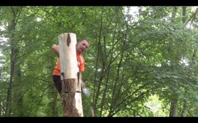 Gilles GIGUET, quintuple champion de France Stihl Timbersports : Démonstration de « Springboard »