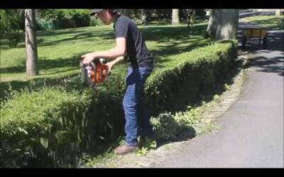 [Gopro°] Taillage de haie 2019 stihl hs 45/stihl br 700 !!!