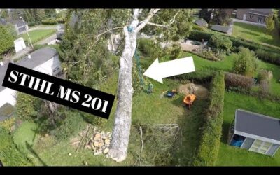 DEMONTAGE DE 2 BOULEAUX STIHL MS 201