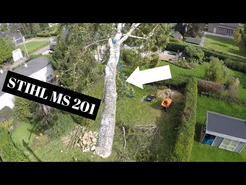 DEMONTAGE DE 2 BOULEAUX STIHL MS 201
