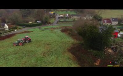 [°INÉDIT°] Abattage d’un gros CHÊNE avec deux Tracteurs ! Stihl |Fendt 716 vario|Case IH Puma 165cvx