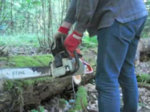 Tronçonneuse STIHL MS250 – Test de coupe sur billot en chêne