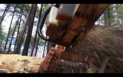 Chinese MS 660 vs ported Stihl MS 660 99cc