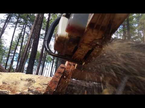 Chinese MS 660 vs ported Stihl MS 660 99cc