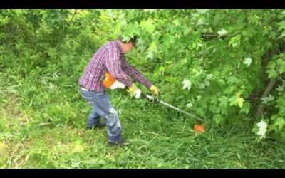 Stihl FSA90 avec tête polycut 20-3
