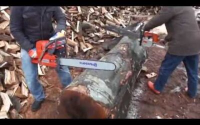 Stihl vs Husqvarna -Husqvarna vs Stihl competition