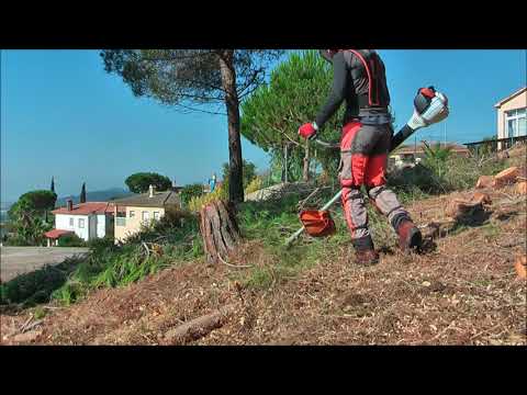 Prueba desbrozadora / desmalezadora Stihl fs 560 C-EM. Test clearing saw Stihl FS 560 C-EM