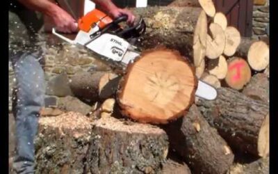 comparatif tronconneuse stihl ms 461 vs einhell 5045 chainsaw
