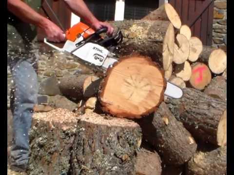 comparatif tronconneuse stihl ms 461 vs einhell 5045 chainsaw