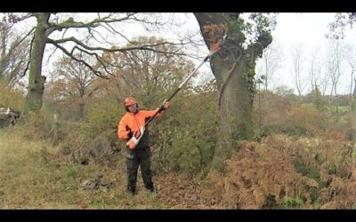 Stihl HTA 85 Cordless Telescopic Pole Pruner, Testing/Review ( Any Good )